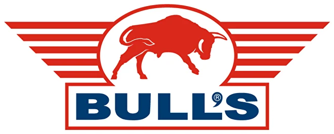 Bull's Darts